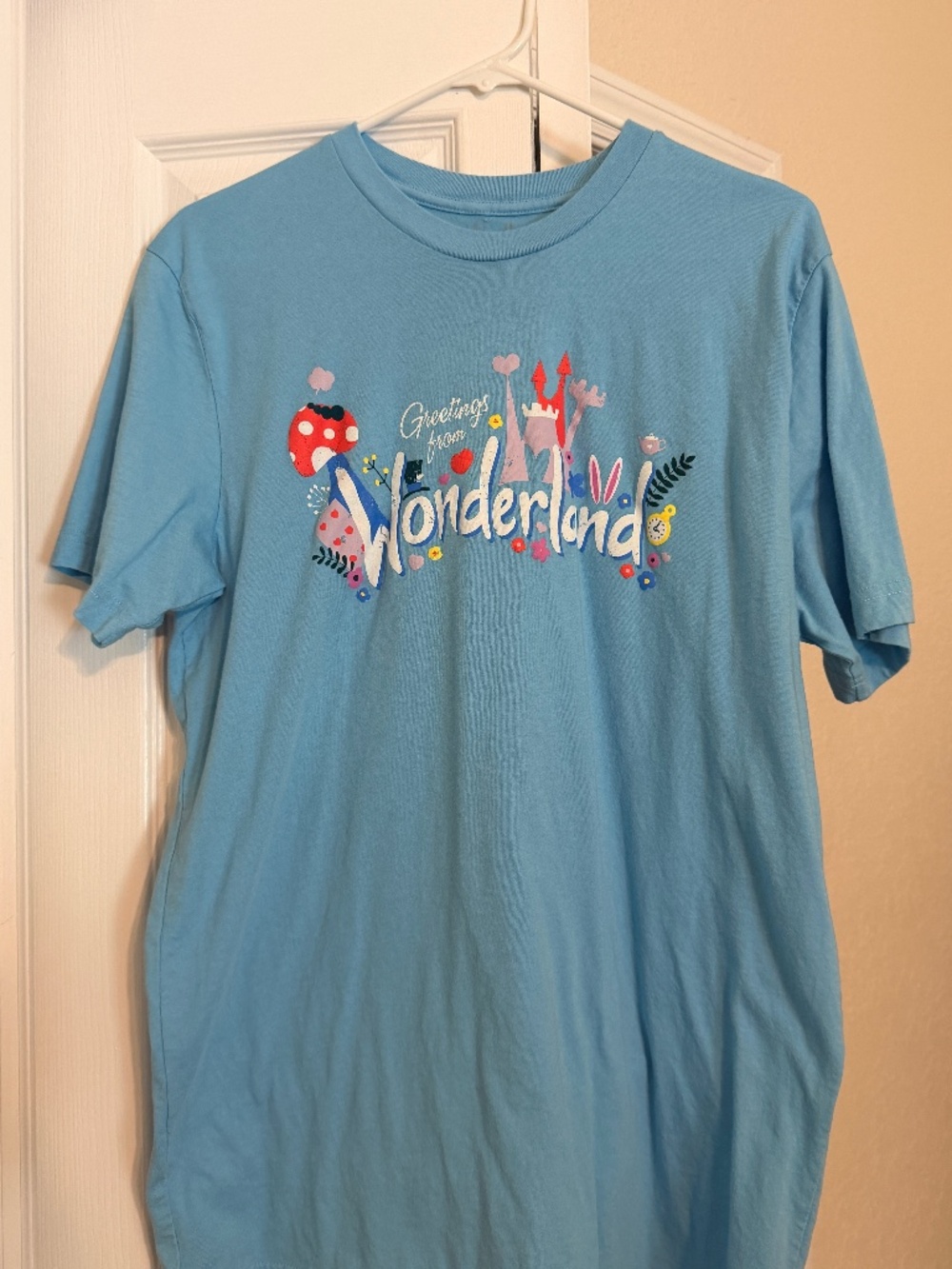 Lost Bros Disney Shirt